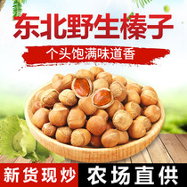 Northeast specialty Tieling wild hazelnuts 2020 new nuts fried and cooked 500g Zhenzi bulk hazelnuts