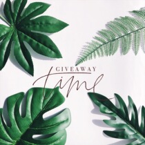 ins wind simulation leaves Korean minimalist Turtle Back plant tropical coconut leaves photo photography background pendulum props