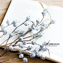 JK Mu space ins Wind natural air dried eucalyptus fruit with branches shooting props literary flower arrangement dried flower promotion