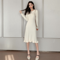 Beating Bottom Knit Dress Dress Woman Winter Dress 2022 New Net Red Long Sleeves Hitch in the middle of a long fur coat skirt