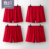 The old mans original year red female boxer underwear mother cotton high waist size middle-aged and elderly mens four-corner shorts grandpa