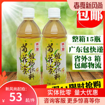 DONGYITANG CHRYSANTHEMUM HONEY 500ML 15 BOTTLES FULL BOX CHRYSANTHEMUM JUICE CHRYSANTHEMUM TEA READY-TO-DRINK CHRYSANTHEMUM DRINK