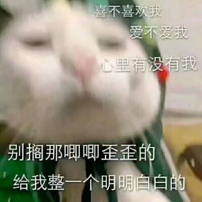 还没用不晓得效果咋样
