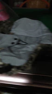 帽子很暖和，质量也很好