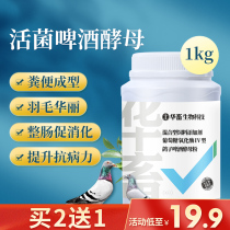 Chinese animal pigeon medicine Daquan beer yeast powder racing pigeons live bacteria health care products Water green conditioning pigeon medicine