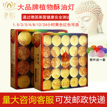 Free garden butter lamp 4 hours 100 grain for Buddha lamp for Buddha ghee candle home Buddha supply lamp 8 hours