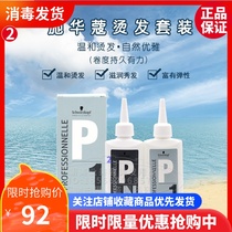 Schwarzkor perm hot Cold hot curly hair Home natural roll bangs styling tobacco hot positioning hot softener