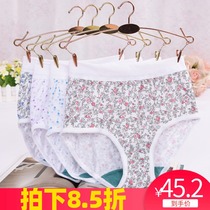 AB panties pure cotton large size panties female fat mm200 pounds briefs mom high waist shorts women pants 0182