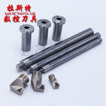 Original ST16-W10-160 180 190 210L small diameter tungsten carbide steel honing cutter bar BE18A small boring head