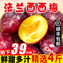 Xinjiang Ximei Big Plum 4 Jin Fresh Season Black Bulin Whole Box Bone Plum Pregnant Woman Fruit Li Big Fruit