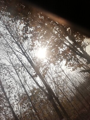 哈哈(ಡ&omega;ಡ)hiahiahia 有点羞涩，不过还好 是我喜欢的样子