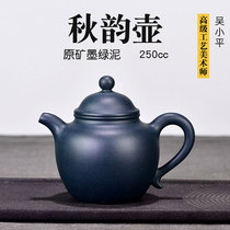 Pot Tianfudi Wu Xiaoping Yixing Purple Clay pot Famous master pure handmade raw ore dark green mud 250cc