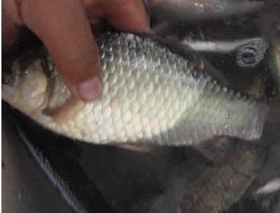 很轻,好评 很轻,好评