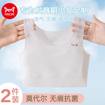 Cat Girls' Vest Girls' Developmental Girls' Big Girls' Underwear Junior High School Students' 13 Year Old Girls' Bra