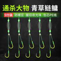 Silver carp fishing group hand pole floating fishing Big Head white flower silver hook Special sub line spring double hook set