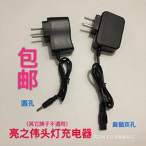 Bright zhi wei headlamp charger 158 166 168 171-60W 172 -90W 65W bian cha double 202