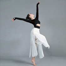 Folk dance practice clothes women's new loose open fork elegant chiffon pants modern dance practice pants dance performance clothes