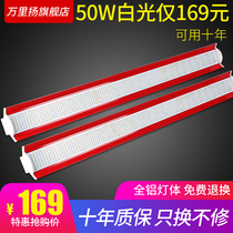 Fresh light deli strip light Pork vegetable fruit shop special photo meat braised vegetable duck neck display cabinet led red