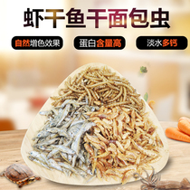 Freshwater shrimp dried fish breadworm dried tortoise freeze-dried feed tortoise food crocodile turtle Brazilian tortoise color supplement calcium