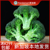 Fresh Broccoli Green Vegetable Flowers Vegetables 1kg Singapore Local Shipping