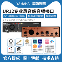 YAMAHA Yamaha UR12 professional audio recording voice-to-acon UR22C audio interface composing instrument