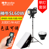 Shen Niu SL60W photography fill light Constant bright sun light Photo video Childrens photography fill light single light set