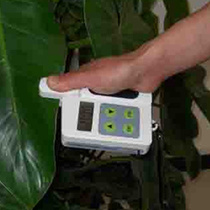 Chlorophyll-tester YLS-A of the chlorophyll tester