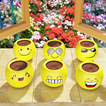 Cute Expression Cultivation Grass Head Doll Desktop Diy Fun Little Potted Kindergarten School Start Prize Open Gift