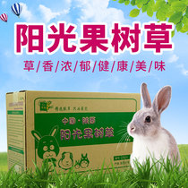 Huimeng 2021 sunshine fruit tree grass hay Hay gross weight 1000g rabbit grain grass dragon cat two boxes minus 5 yuan