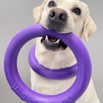 Ukraine PULLER Purple Ring Pet Bite Ball-resistant Ball-grinding Toys Training Frisbee Outdoor Dog Swimming Tug-in Interactive Toys