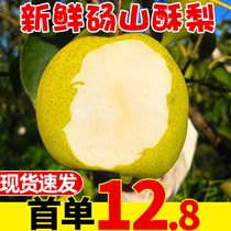 Pear Dangshan crisp pear 5kg fresh fruit 3 Anhui Sydney fragrant pear should season crisp sweet whole box 10 crown