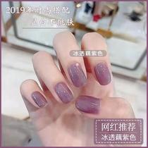 Ice through lotus root purple jelly purple grape purple Polish glue autumn and winter popular color nail sauce purple plum ice through amber