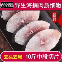 (10 catty of fresh fish block) sea trapper fish section frozen peatfish midsection swatlfish meat deep sea fish unsainted