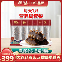 Bangchu Island instant sea cucumber Dalian sea cucumber 250g 5-7 only Set 2=500g non-dry goods Special Single Pack
