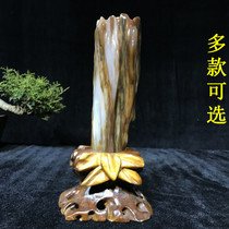 Treated jade raw stone pure natural ice species wood chemical jade stone silicified wood ore stone ornamental living room ornamental variety of optional