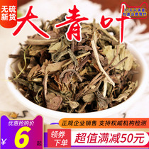 Chinese herbal medicine new products Daqingye selection Daqing leaves no sulfur-free selection of Radix Isatidis leaf 500g