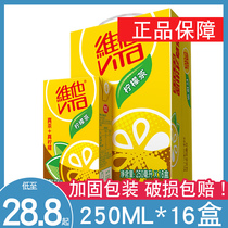 Vita Lemon Tea 250ml*16 boxes full box Ceylon Iced lemon tea Afternoon tea Fruity drink Chrysanthemum tea