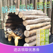Reptilia tortoise lizard evades hiding ladders mane lion drying platform climbing pet fence fence tree hole bark