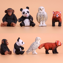 Simulation small animal genuine bulk red panda Little Fox orangutan Eagle model mini ornaments model toy