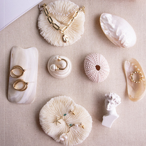 ins seashells natural conch shell shooting props Net Red jewelry nail lipstick ornaments chic photo photography