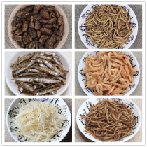 Hamster Snacks Silver Fish Dry Shrimp Rinfish Dry Freeze-dried Bread Worm Meat Silkworm Pupa Protein Supplement Calcium Pregnancy Nutrient Antarctic Shrimp