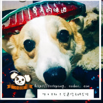 Small B cubs UK imports Rosewood Pet Toy Light Fading Fruit Aroma Suitable for medium large dogs