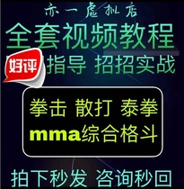 Street self-defense capture horse coffee boxing Sanda mma mixed martial arts full video tutorial members are polite