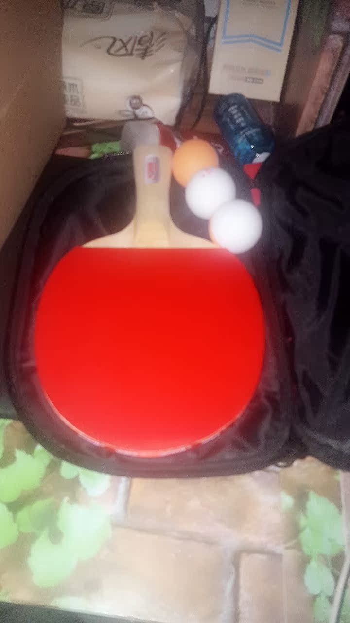 红双喜2002 2006 3002 3006 4002 4006 5002 5006 6002 6006乒乓球成品拍