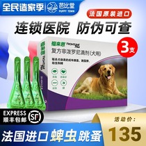 Foley large dog drops dog in vitro anthelmintics flea ticks special for Fleien dog pet single box