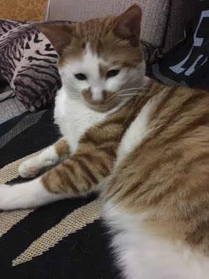 此用户没有填写评价。 此用户没有填写评价。