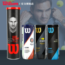 Wilson Tennis Net US Open Training Tennis Ball Durable 3pcs