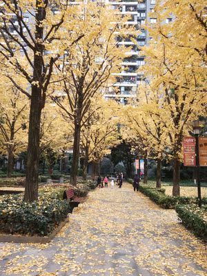 挺好的。后面是复制的。以前在天猫淘宝上买东西,都是系统自动好评,花了有好多好多钱,后来才知道淘宝评论得积分可以涨淘宝值时,才知道评论的重要性,所以以后无论买什么东西,我都先把这段文字复制粘贴下来,然后再写到宝贝评论,没错,评论80个字以上就可以获得50个积分啦! 挺好的。后面是复制的。以前在天猫淘宝上买东西,都是系统自动好评,花了有好多好多钱,后来才知道淘宝评论得积分可以涨淘宝值时,才知道评论的重要性,所以以后无论买什么东西,我都先把这段文字复制粘贴下来,然后再写到宝贝评论,没错,评论80个字以上就可以获得50个积分啦!