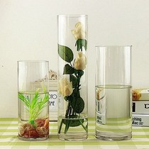 Raise rich bamboo vase Household water bamboo flower pot Round hydroponic transport bamboo bottle Cylindrical straight glass transparent