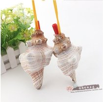 The horn snail natural conch shell Super conch small conch shell creative gift childrens toys